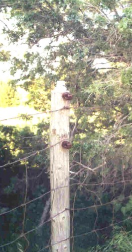 This is one of several fence posts with a light fixture on top along the south edge of the former Starview property. They used to mark the perimeter at night.