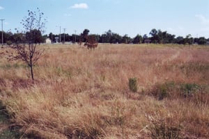 The empty lot of the drive-in site is now part of Grove Park