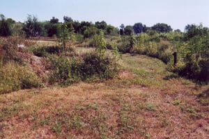 According to another person living on the property, this overgrown way used to be the entrance road