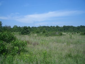 This view is roughly towards the northeast. Nature has taken her toll.