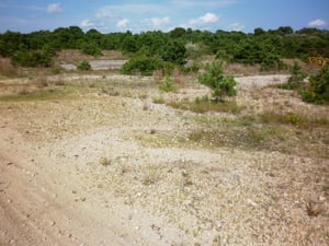 The concrete foundation where once the concession building stood can be seen in the distance