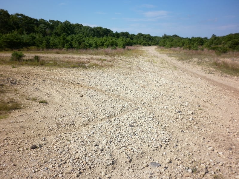 Partially overgrown field