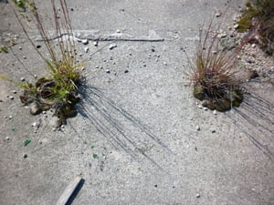 Remains of old sewage pipes from the restrooms are still present