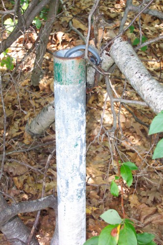 Old light fixture pole on perimeter.