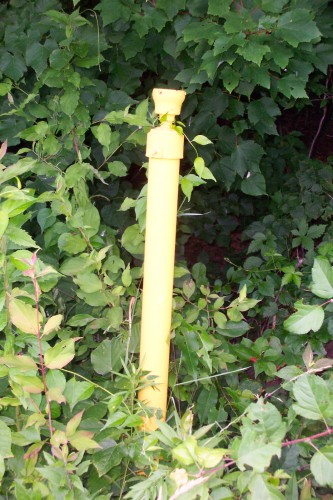 old light fixture on perimeter.