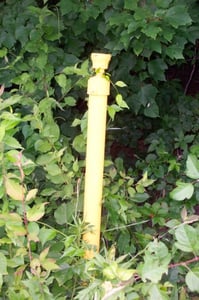 old light fixture on perimeter.