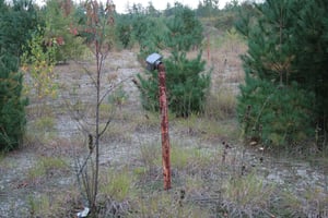 This is one of many speaker poles that still remains.