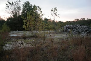 This is from behind the main building looking toward the location where the screen used to be.