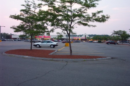 A typical shopping center now occupies the former site.