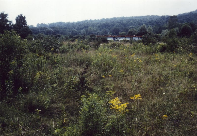 Heavily overgrown field with remote projection/concession building