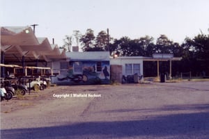 Ticket Booth and drive-in restaurant. Notice the golf carts are where the cars used to pull up.