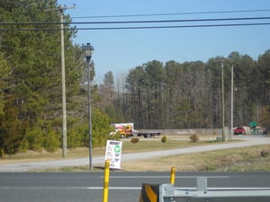 looking beyond the trees from the highway