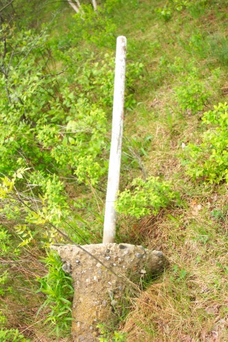 tipped over speaker pole