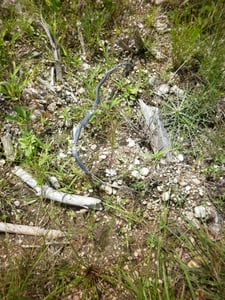 Old speaker cable protruding from the ground