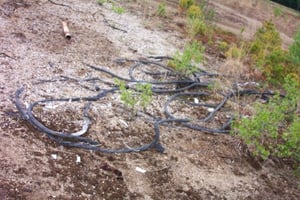 wire rubble from approximate location of concession stand.