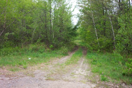 Former entrance road.