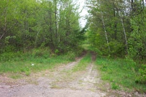 Former entrance road.