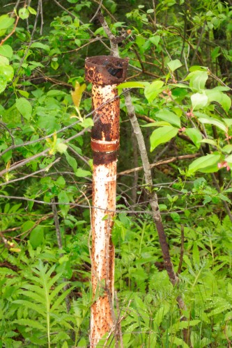 Old light fixture along entrance road.