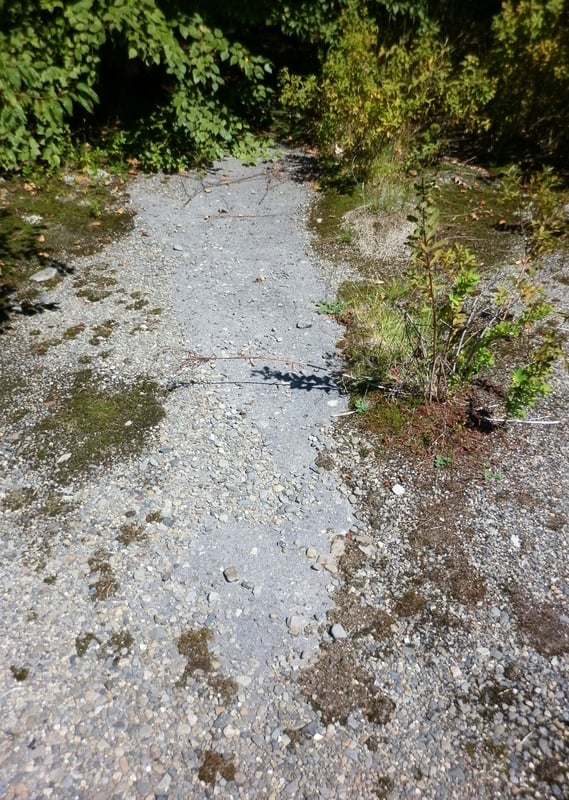 Small remaining patch of asphalt