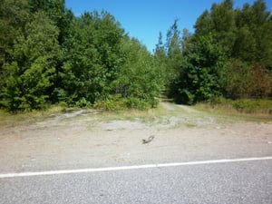 The entrance of the drive-in seen from highway 157