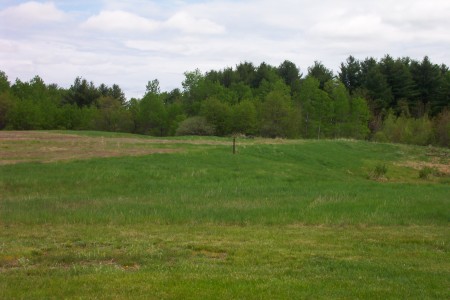 former field