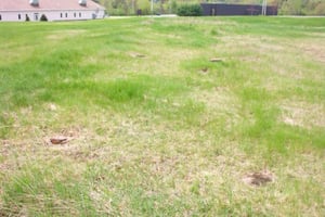 base of former screen tower.  You can see the sawed-off poles left in the ground.