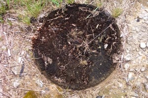 close up of screen tower post