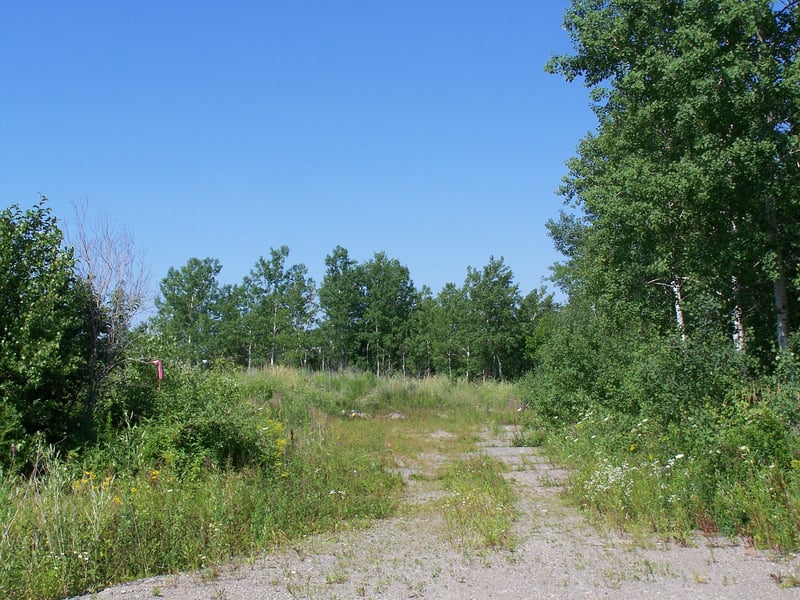 Former entrance road.  This was where the box office once stood.