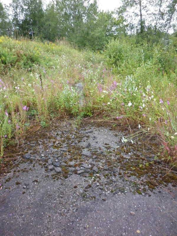 Some remaining asphalt on the former entrance road