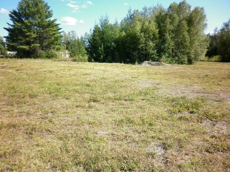 The concession building can be seen hidden in the trees at left