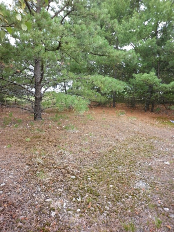 One of the overgrown ramps