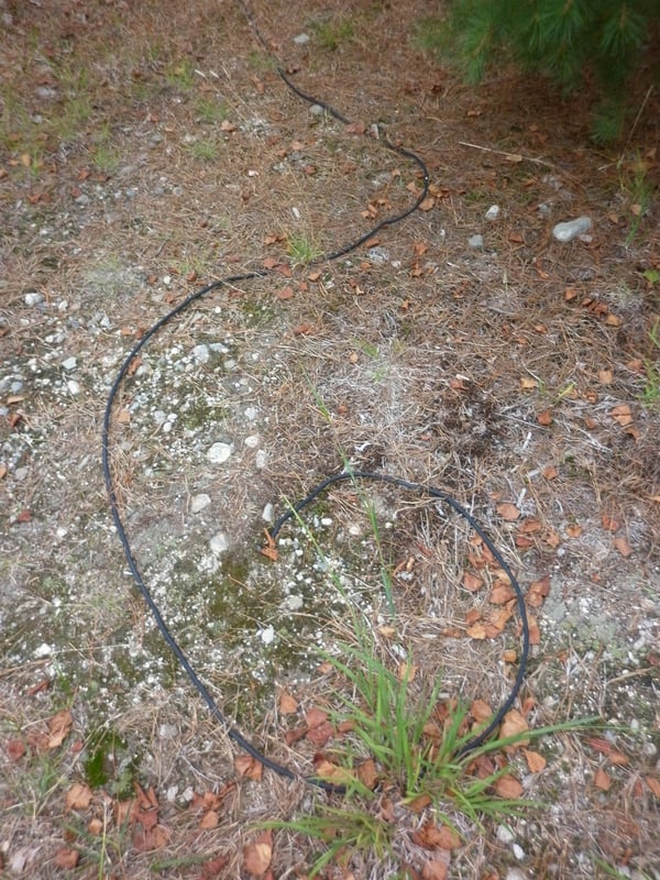 An old speaker cable still lies on the ground