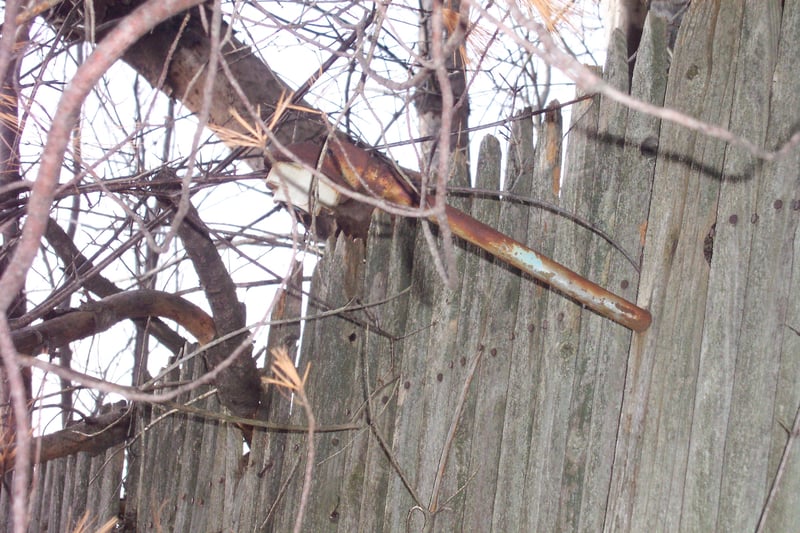 Section of old fence with a light fixture attached.