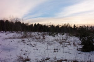 field.  You can still make out the car ramps.