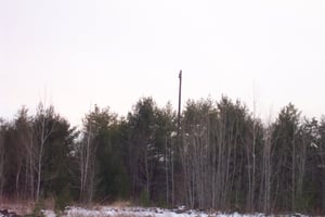 Field with light tower in background.