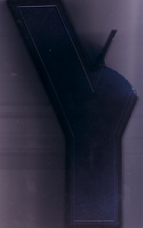 This is one of the 2 marquee letters I found at the Alpena Drive-In.