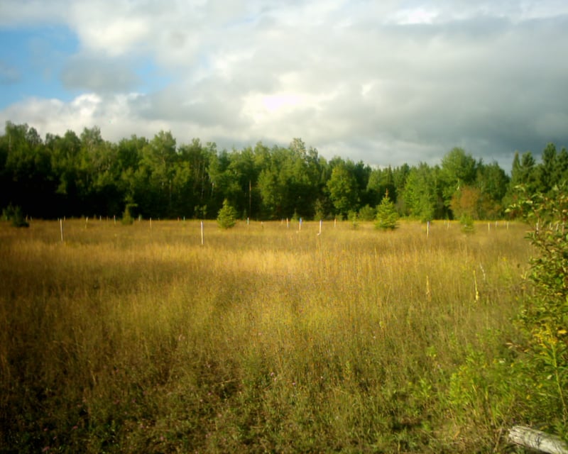 All that's left of the 400 car parking area of the Hiawatha Drive-In in Chassel Michigan in Michgan's Upper Peninsula.