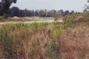 A distant view of the lot since there's no access permitted