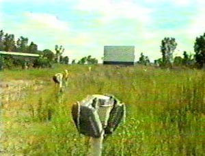 Northside Drive-In screen tower and speakers, taken by Daryl Burgess.