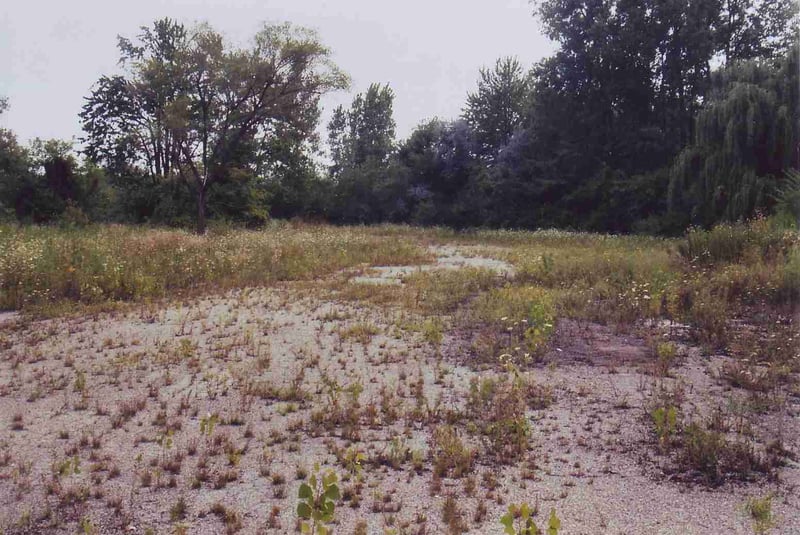 Partially overgrown entrance road