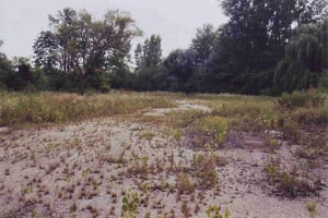 Partially overgrown entrance road