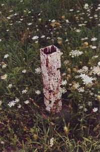 One of a few remaining poles of light fixtures once lining the entrance road