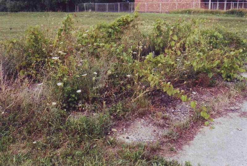 Hidden concrete slab for ticket booth