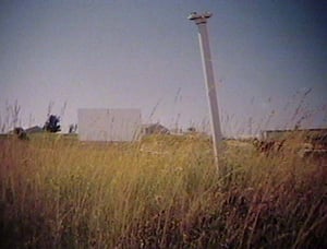 Screen and speaker pole