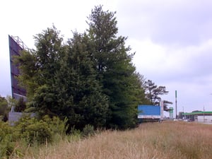 Back of screen and marquee near the road