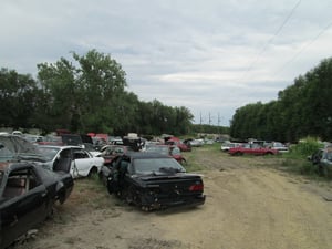 North side of Drive-In