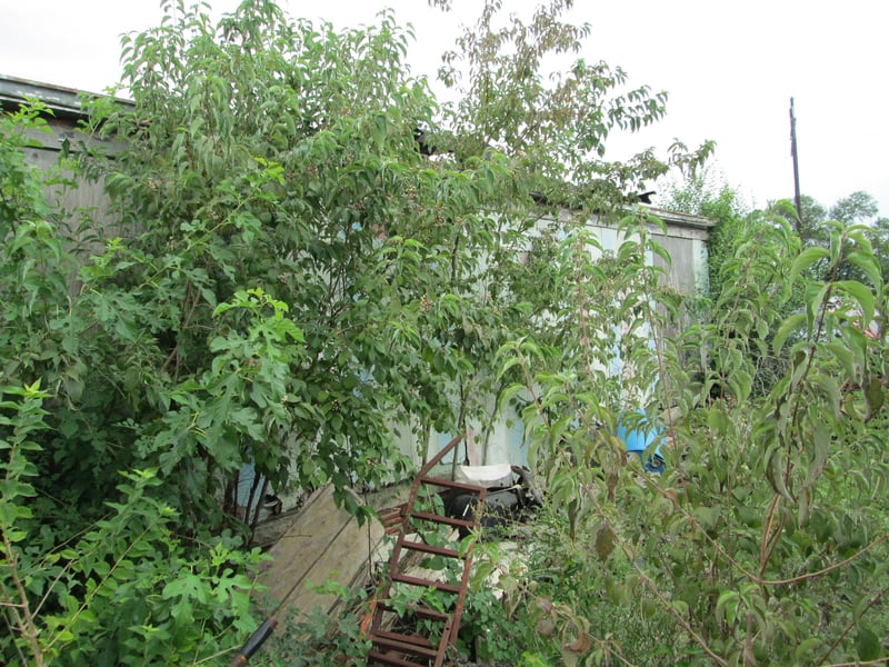 North side of concesson, projector and bathroom.