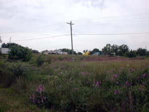 Field where the drive-in stood, according to locals