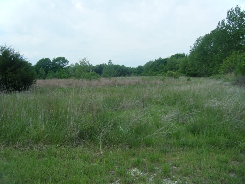 entranceexit road and former field