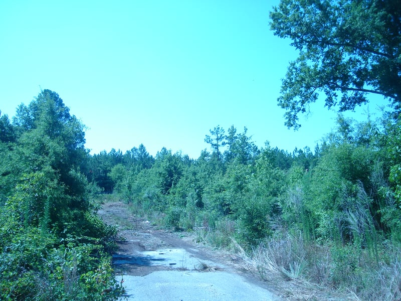 Tower Drive-In Rocky Mount, NC ALL GONE